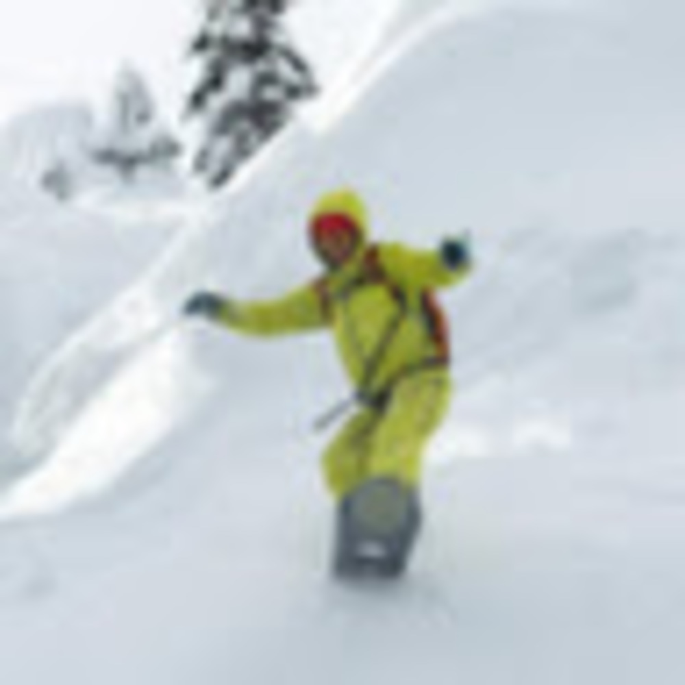 Meet your Posher, Skunk